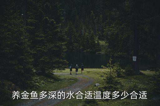 養(yǎng)金魚(yú)多深的水合適溫度多少合適