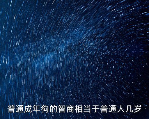 普通成年狗的智商相當(dāng)于普通人幾歲