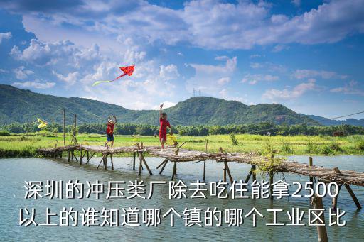 深圳的沖壓類廠除去吃住能拿2500以上的誰知道哪個(gè)鎮(zhèn)的哪個(gè)工業(yè)區(qū)比