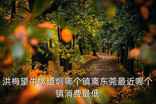 洪梅望牛墩道炯哪個鎮離東莞最近哪個鎮消費最低