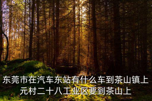 東莞市在汽車東站有什么車到茶山鎮上元村二十八工業區要到茶山上