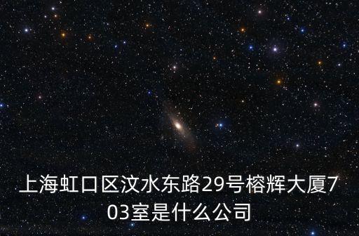 上海虹口區汶水東路29號榕輝大廈703室是什么公司