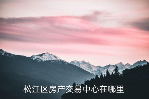 松江區房產交易中心在哪里