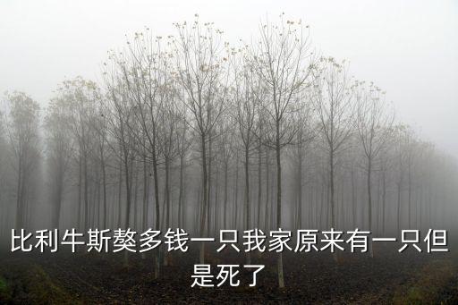 比利牛斯獒多錢一只我家原來有一只但是死了
