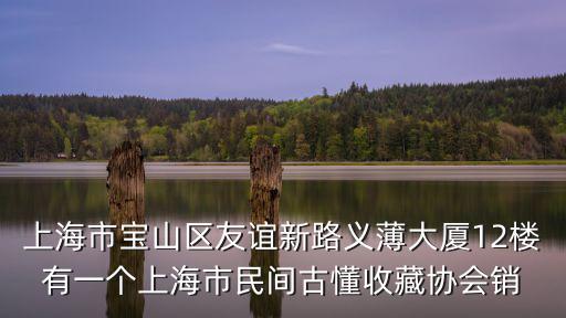 上海市寶山區友誼新路義薄大廈12樓有一個上海市民間古懂收藏協會銷