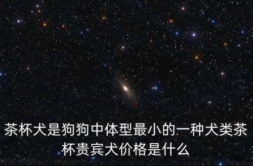 茶杯犬是狗狗中體型最小的一種犬類茶杯貴賓犬價格是什么