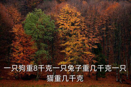 一只狗重8千克一只兔子重幾千克一只貓重幾千克