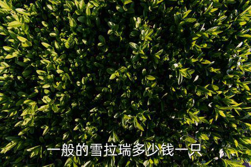小型雪納瑞犬一般多少錢一只，一般的雪拉瑞多少錢一只