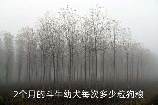 2個月的斗牛幼犬每次多少粒狗糧