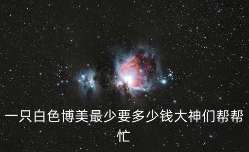 一只白色博美最少要多少錢大神們幫幫忙