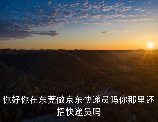 你好你在東莞做京東快遞員嗎你那里還招快遞員嗎