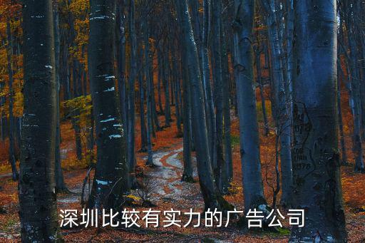 深圳比較有實力的廣告公司