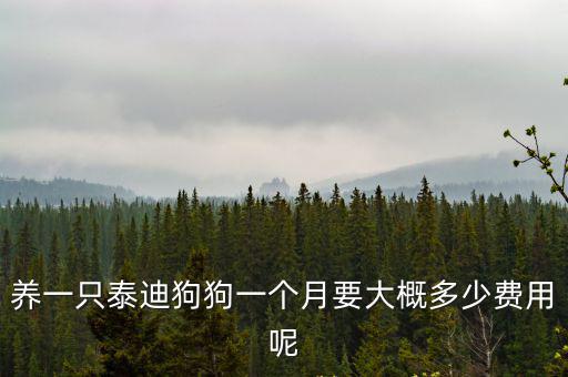 養一只泰迪狗狗一個月要大概多少費用呢