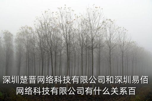 深圳楚晉網絡科技有限公司和深圳易佰網絡科技有限公司有什么關系百
