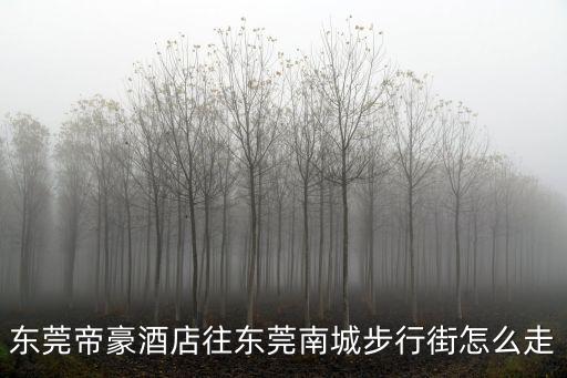 東莞帝豪假日水會，東莞帝豪會還有特別服務嘛