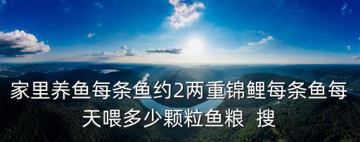錦鯉喂多少魚食，家里養魚每條魚約2兩重錦鯉每條魚每天喂多少顆粒魚糧  搜
