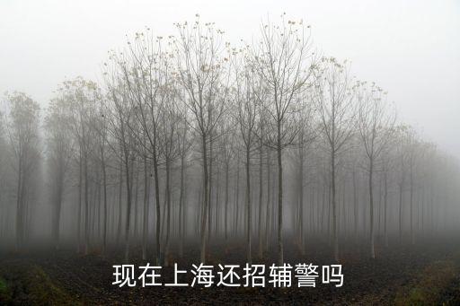 現(xiàn)在上海還招輔警嗎