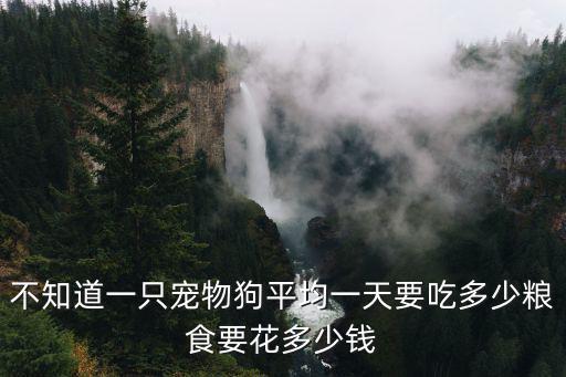 不知道一只寵物狗平均一天要吃多少糧食要花多少錢