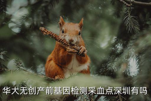 深圳哪里可以做華大無創基因檢測，華大無創產前基因檢測采血點深圳有嗎