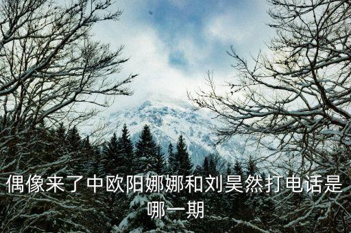 偶像來了中歐陽娜娜和劉昊然打電話是哪一期