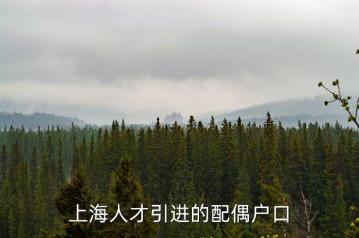 人才引進落戶上海條件配偶，上海人才引進的配偶戶口