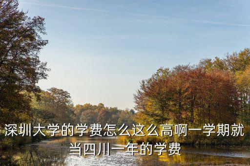 深圳大學的學費怎么這么高啊一學期就當四川一年的學費