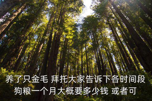 養(yǎng)條大金毛一天多少錢，養(yǎng)一只金毛犬需要多少錢呢