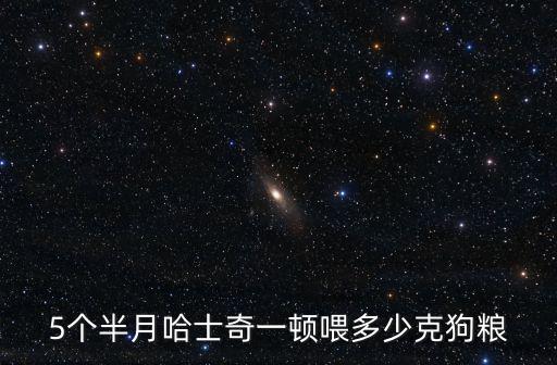 哈士奇能吃多少狗糧，哈士奇成年一天要吃多少狗糧