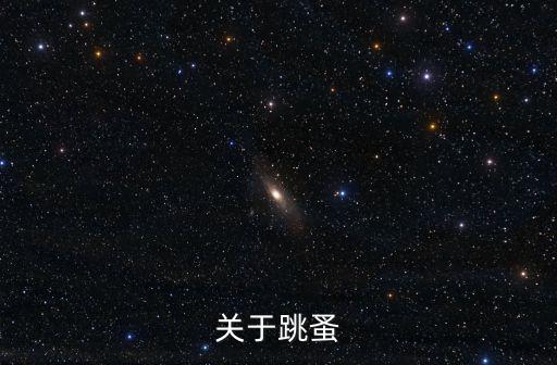 關(guān)于跳蚤