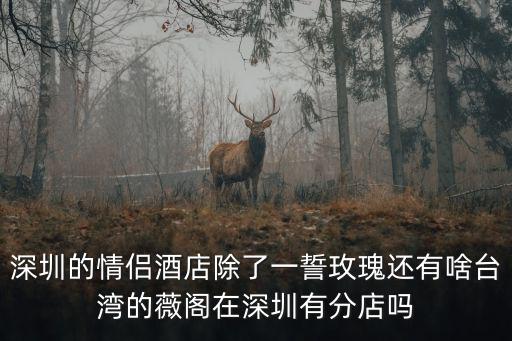 深圳的情侶酒店除了一誓玫瑰還有啥臺灣的薇閣在深圳有分店嗎