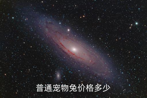 普通寵物兔價格多少