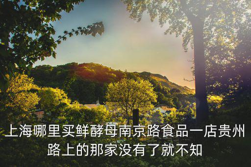 上海哪里買鮮酵母南京路食品一店貴州路上的那家沒有了就不知