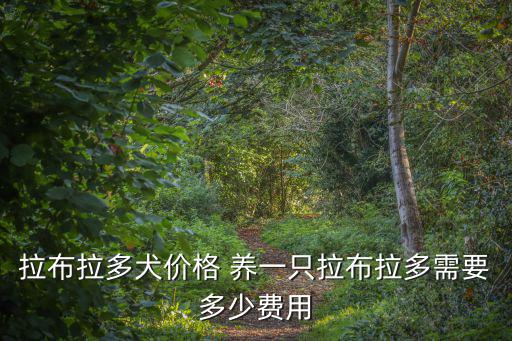 拉布拉多犬價格 養一只拉布拉多需要多少費用
