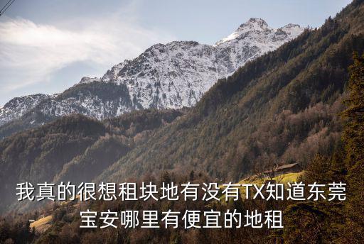 我真的很想租塊地有沒有TX知道東莞寶安哪里有便宜的地租
