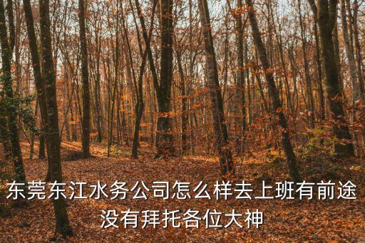 東莞東江水務公司怎么樣去上班有前途沒有拜托各位大神