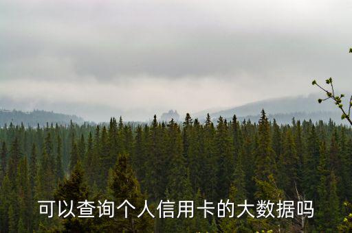 可以查詢個人信用卡的大數(shù)據(jù)嗎
