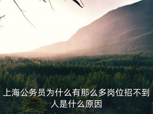 上海公務員為什么有那么多崗位招不到人是什么原因
