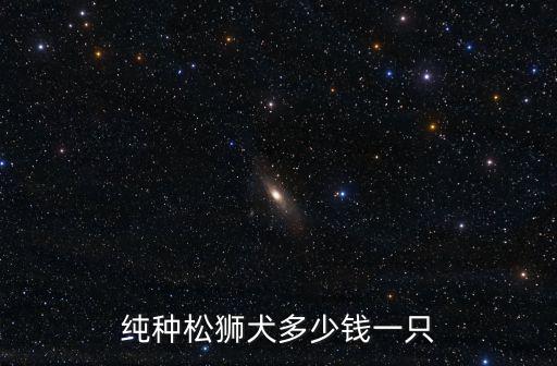 純種松獅犬多少錢一只