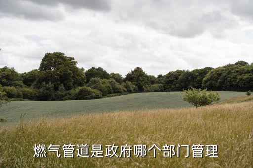 燃?xì)夤艿朗钦膫€部門管理