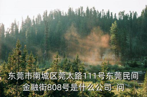 東莞市南城區莞太路111號東莞民間金融街808號是什么公司  問