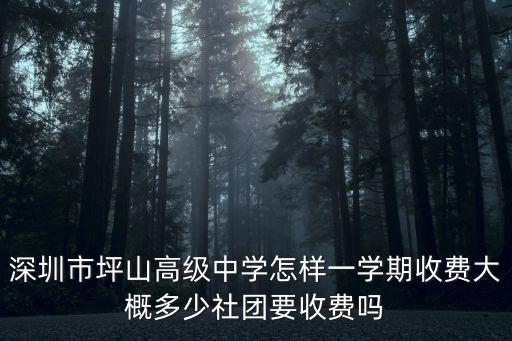 深圳市坪山新區初中收費標準，坪山高級中學2015年高一收費標準