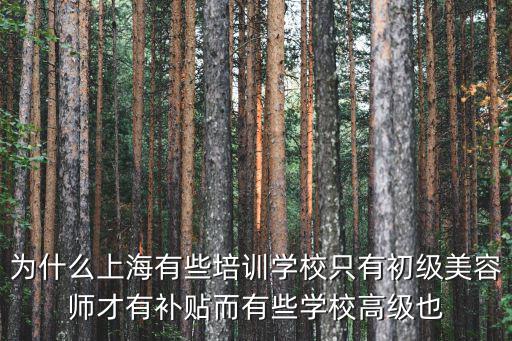 為什么上海有些培訓學校只有初級美容師才有補貼而有些學校高級也