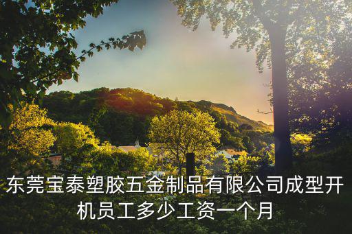 東莞寶泰塑膠五金制品有限公司成型開機(jī)員工多少工資一個(gè)月