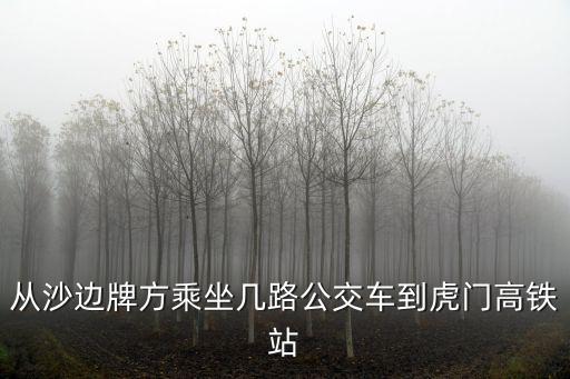 從沙邊牌方乘坐幾路公交車到虎門高鐵站