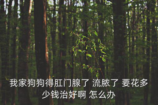 我家狗狗得肛門腺了 流膿了 要花多少錢治好啊 怎么辦
