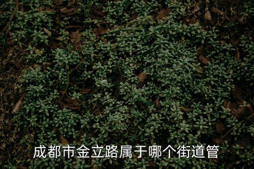 成都市金立路屬于哪個街道管