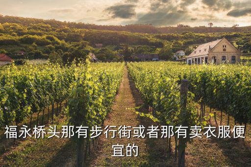 福永橋頭那有步行街或者那有賣衣服便宜的