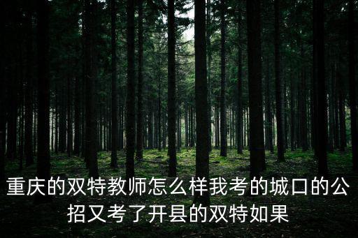 重慶的雙特教師怎么樣我考的城口的公招又考了開縣的雙特如果