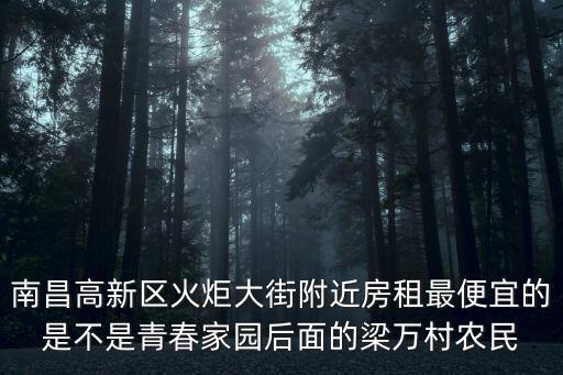南昌高新區火炬大街附近房租最便宜的是不是青春家園后面的梁萬村農民