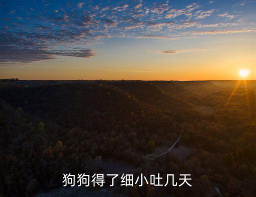 狗吐了禁食禁水多少天，寵物趣聞狗狗嘔吐后要禁食嗎